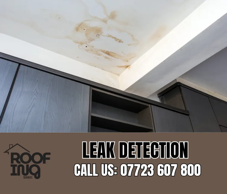 Roof Leak Detection in Ottery St Mary
